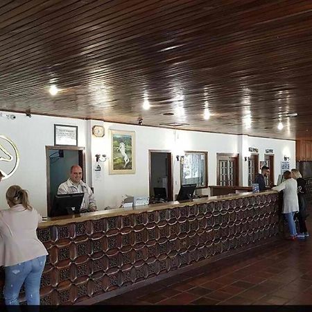 Flat Cavalinho Branco -102 Lägenhet Águas de Lindóia Exteriör bild